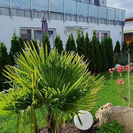 Ferienwohnungen "Godewind", Appartements Mit Balkon Oder Terrasse ツィノヴィッツ エクステリア 写真