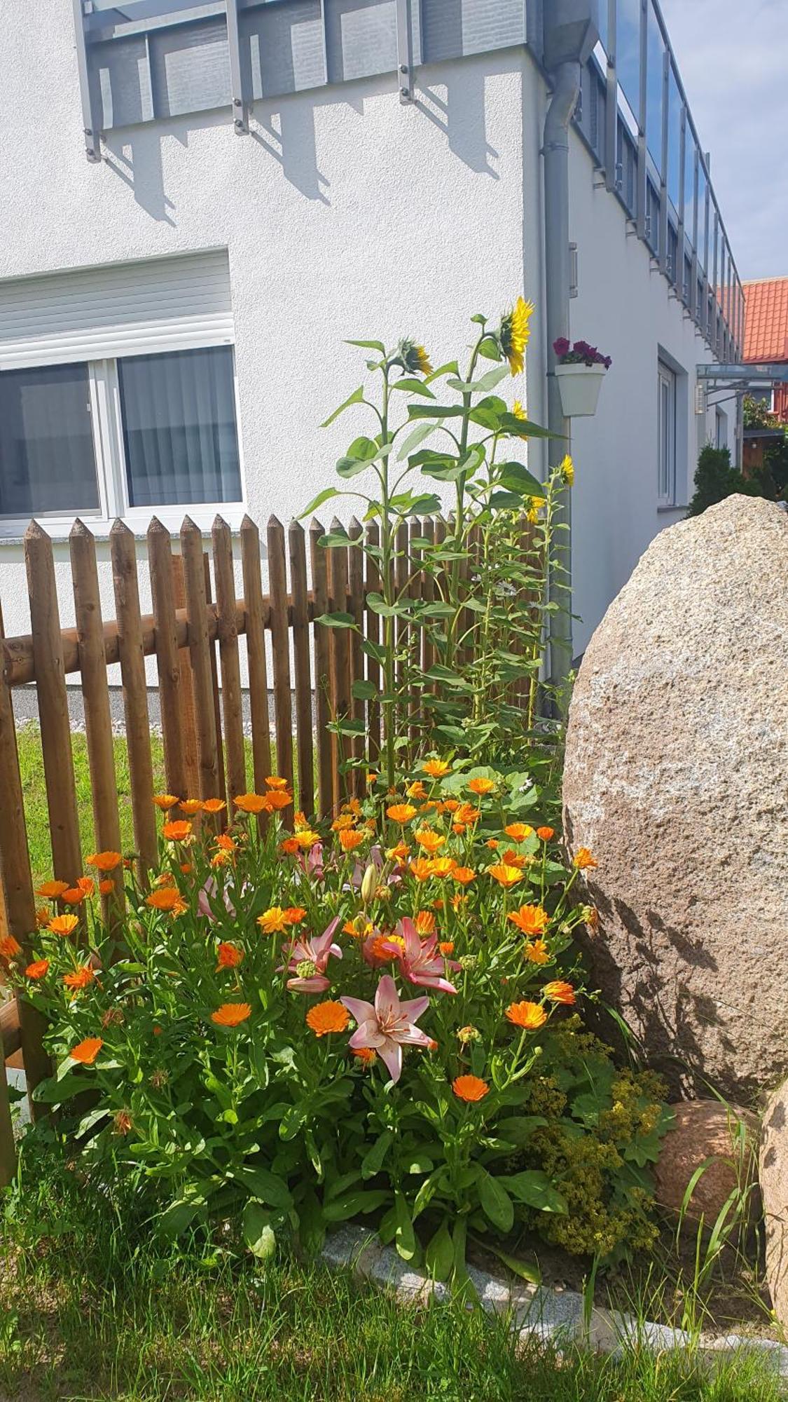 Ferienwohnungen "Godewind", Appartements Mit Balkon Oder Terrasse ツィノヴィッツ エクステリア 写真